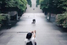 2023美菱集成灶全国销量排行,揭秘行业翘楚!-帮帮直通车