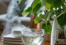 壁挂炉湿度调节技巧：有效提升室内湿度攻略-帮帮直通车