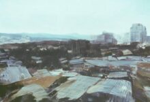 辽宁消毒柜:进口品牌商家盘点-帮帮直通车